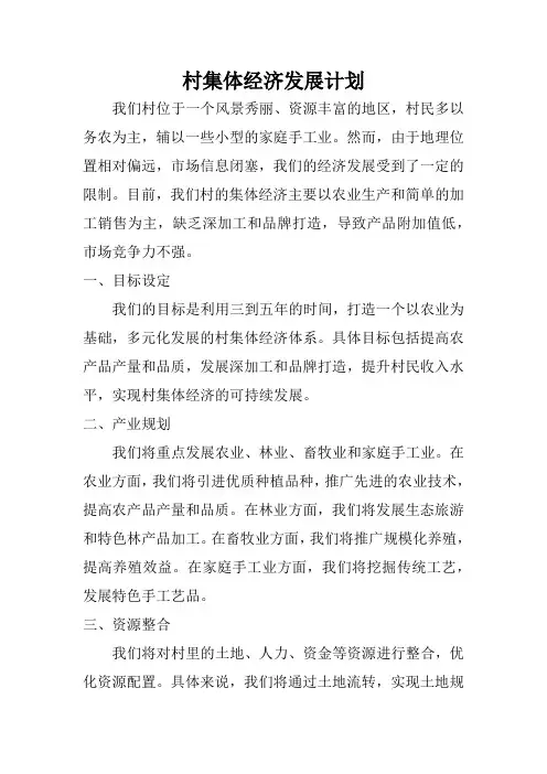 村集体经济发展计划