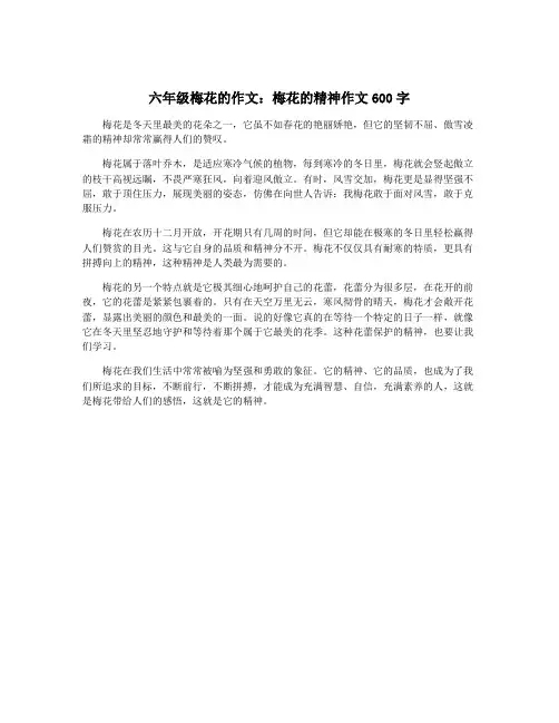 六年级梅花的作文：梅花的精神作文600字