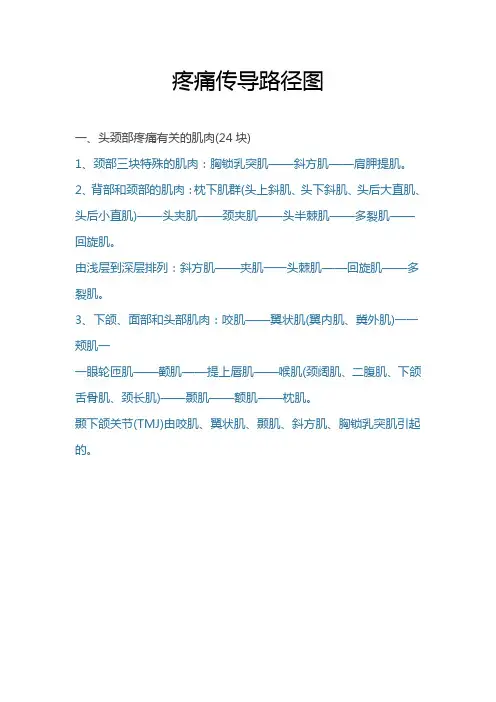 疼痛传导路径图PPT课件