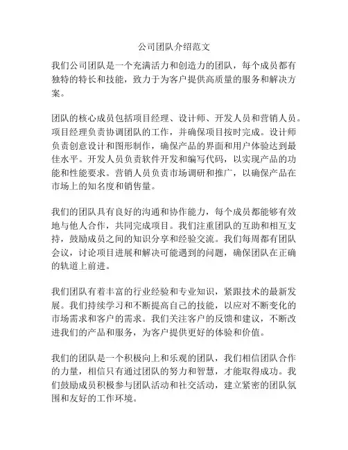 公司团队介绍范文