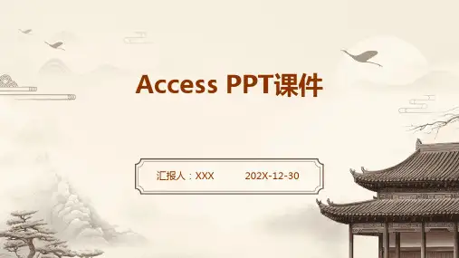 access ppt课件
