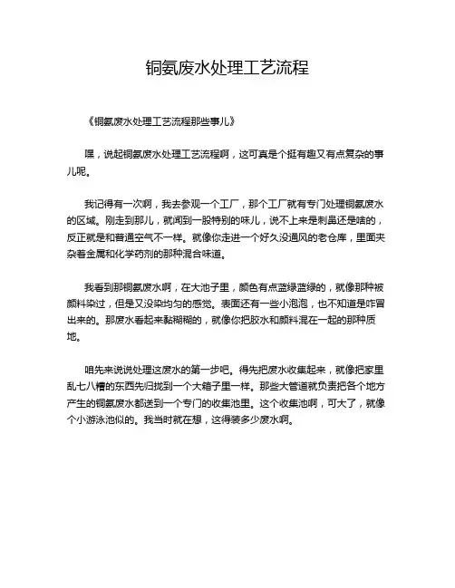 铜氨废水处理工艺流程