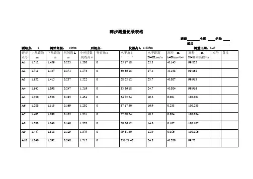 碎步测量记录表格(1~6)