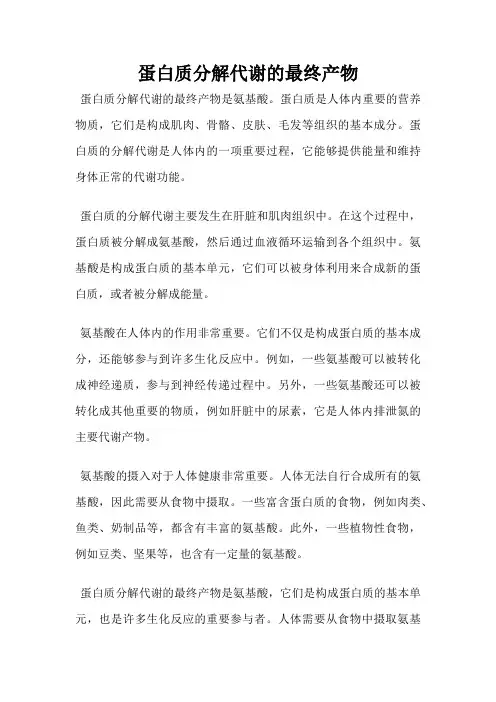 蛋白质分解代谢的最终产物