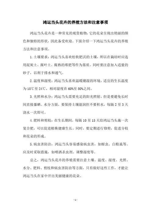 鸿运当头花卉的养殖方法和注意事项
