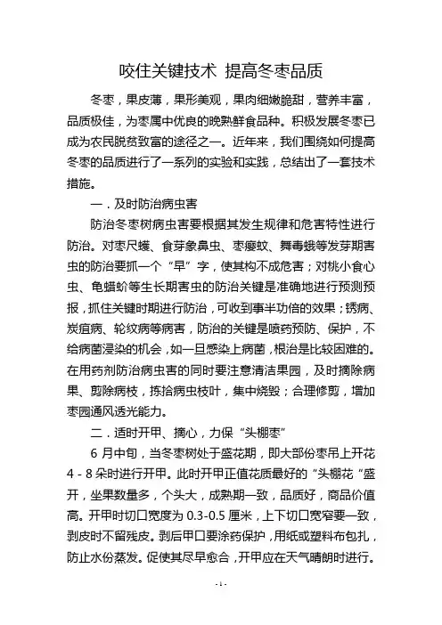 咬住关键技术提高冬枣品质