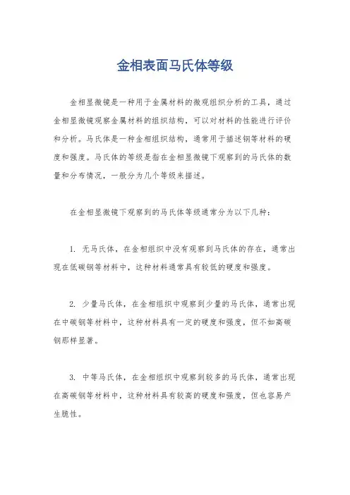 金相表面马氏体等级
