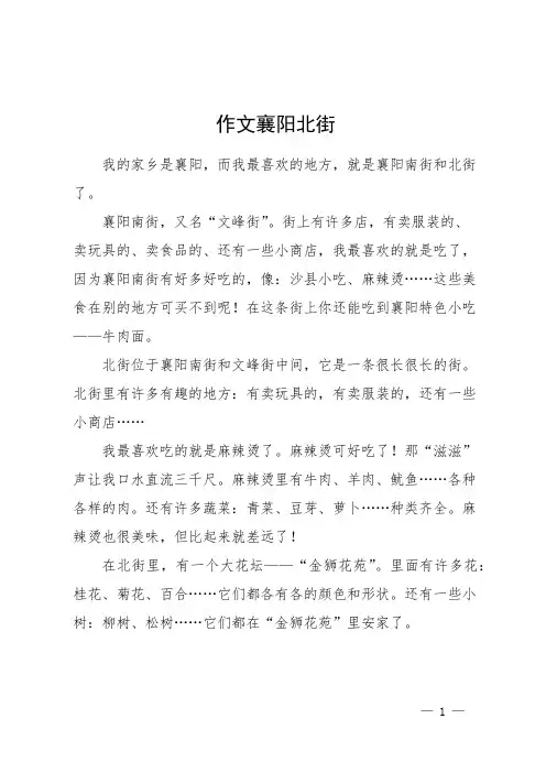 作文襄阳北街