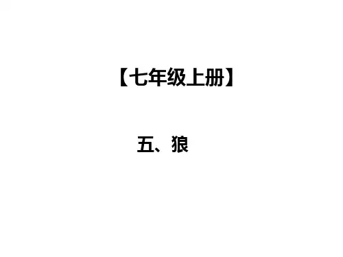 最新2019-2019年中考语文总复习课外文言文全解全练课件：第一部分 基础训练 7年级上册 五、狼(共22张PPT)-P