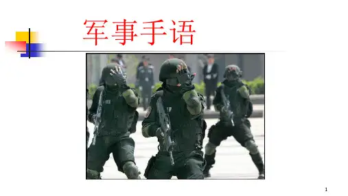 军事常见手语PPT课件