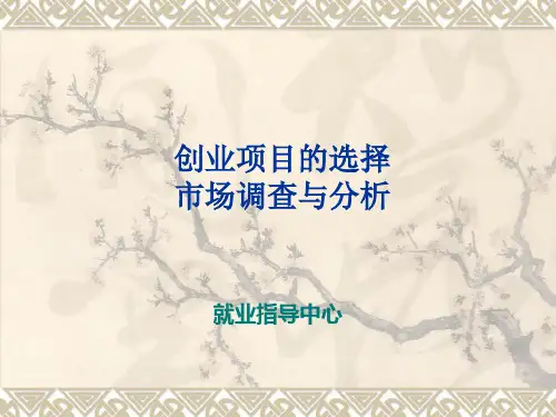 创业项目市场分析