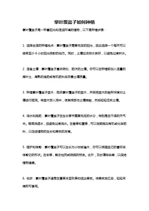 掌叶覆盆子如何种植