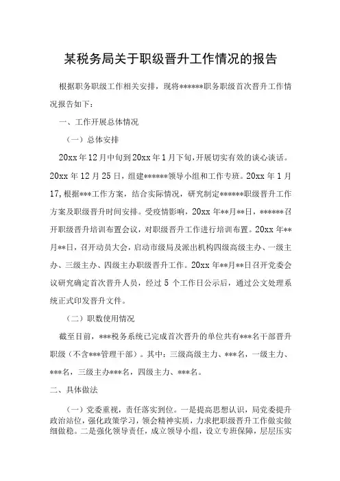 某税务局关于职级晋升工作情况的报告
