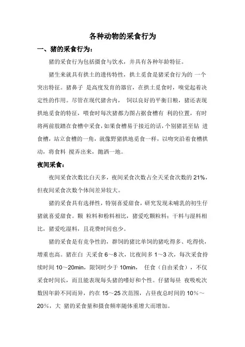 各种动物的采食行为