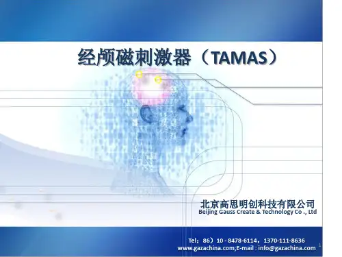 经颅刺激器(TMS)