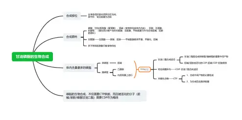 甘油磷脂的生物合成(思维导图)