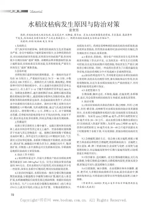 水稻纹枯病发生原因与防治对策