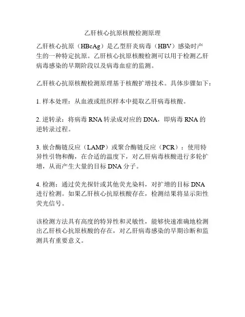 乙肝核心抗原核酸检测原理
