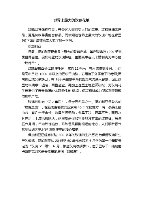世界上最大的玫瑰花地