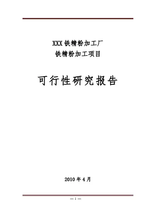 铁精粉加工项目可行性研究报告