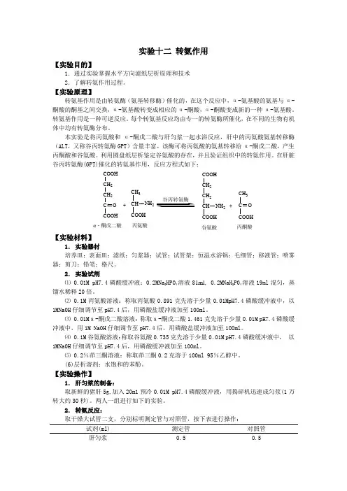 12 实验十二 转氨作用