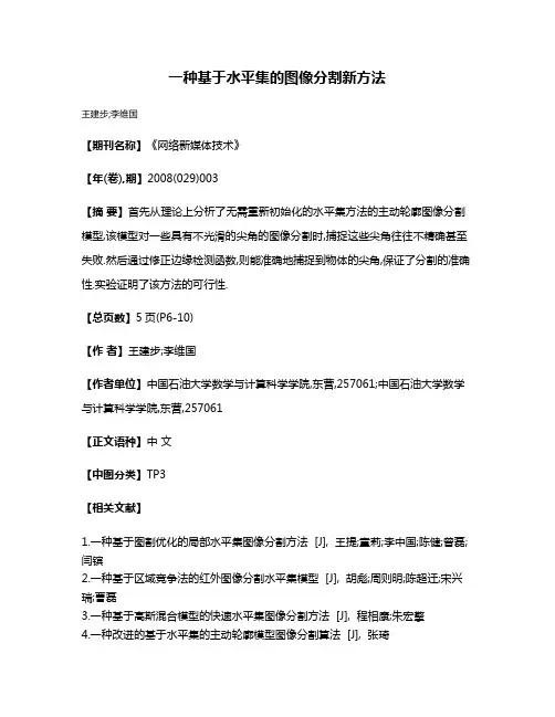 一种基于水平集的图像分割新方法