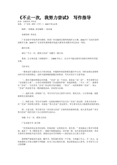 《不止一次, 我努力尝试》 写作指导
