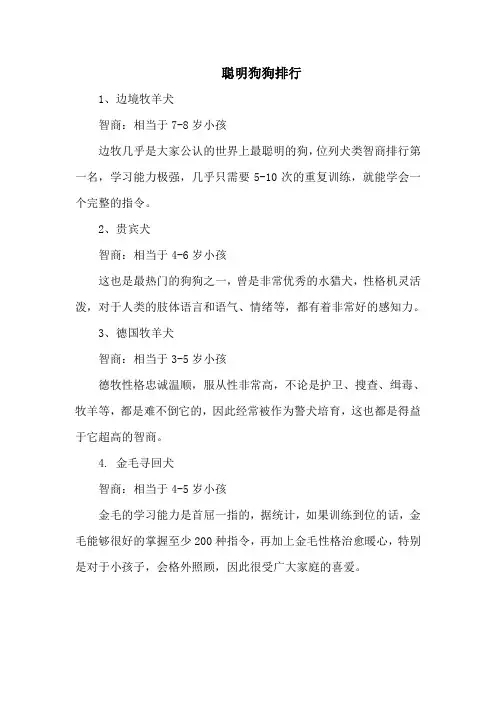 聪明狗狗排行