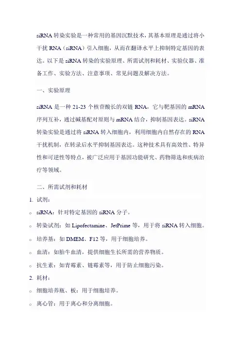 siRNA转染 Protocol