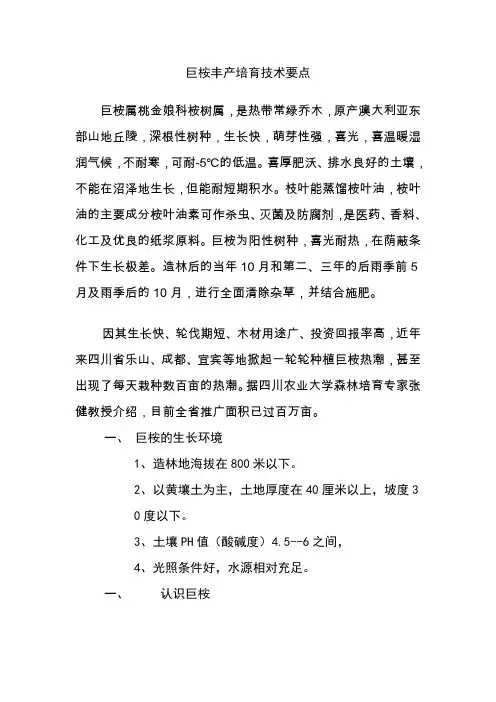 巨桉丰产培育技术要点