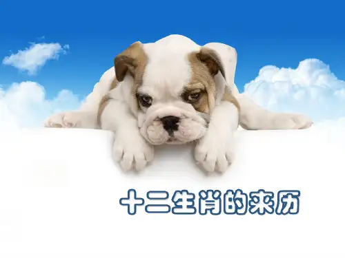十二生肖的来历
