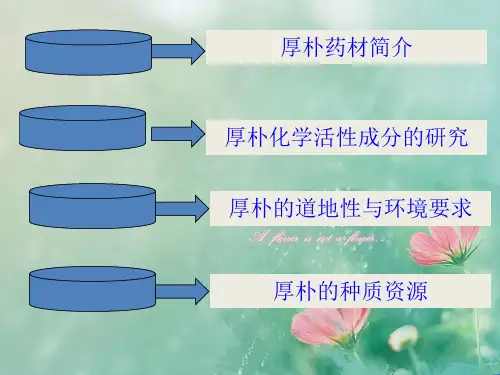 厚朴