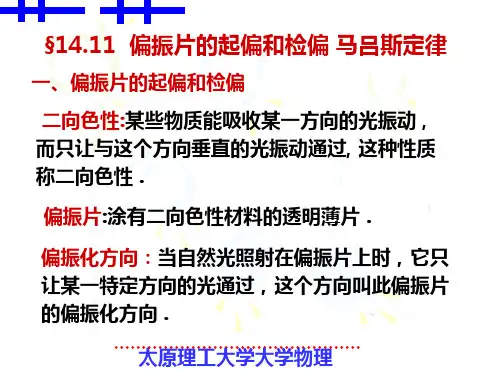 偏振片的起偏和检偏  马吕斯定律