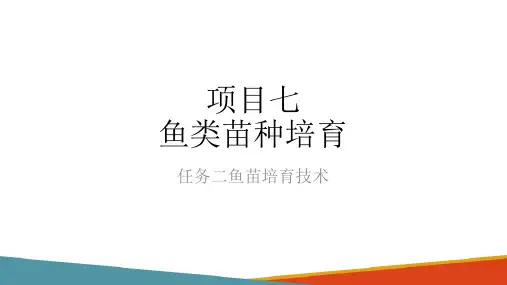 鱼类苗种培育技术—鱼苗培育