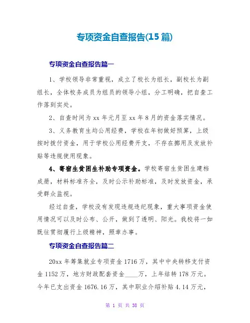 专项资金自查报告(15篇)