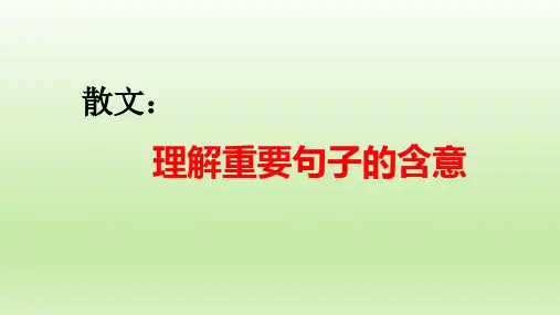 高考语文复习-散文阅读之理解重要句子的含意 课件26张