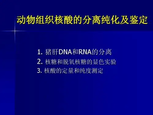实验十三 动物组织核酸的分离、鉴定和含量测定