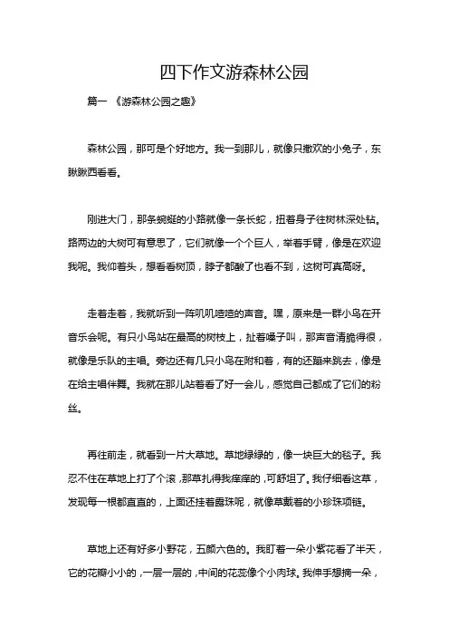 四下作文游森林公园