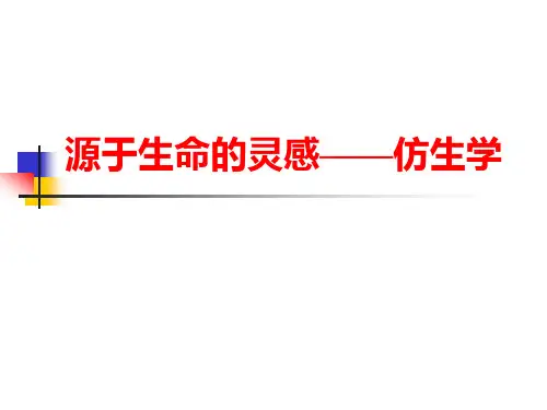 仿生学(2)