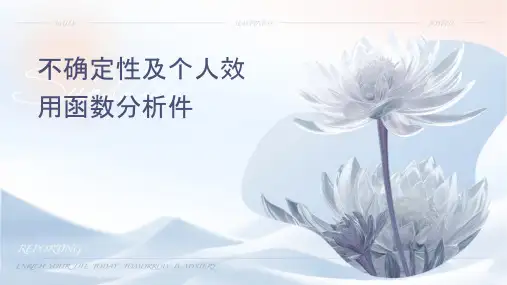 风险不确定性及个人效用函数分析课件