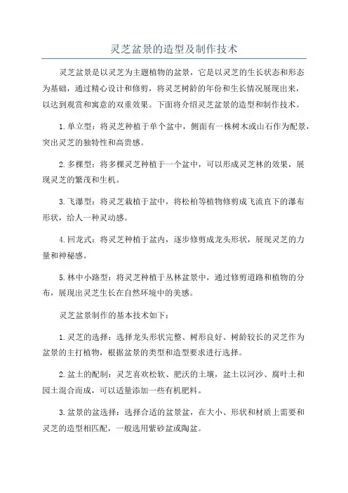 灵芝盆景的造型及制作技术