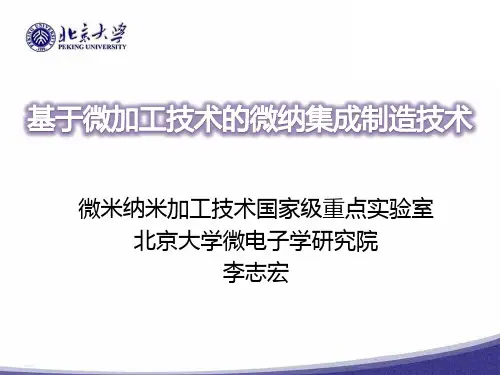 微米纳米加工技术