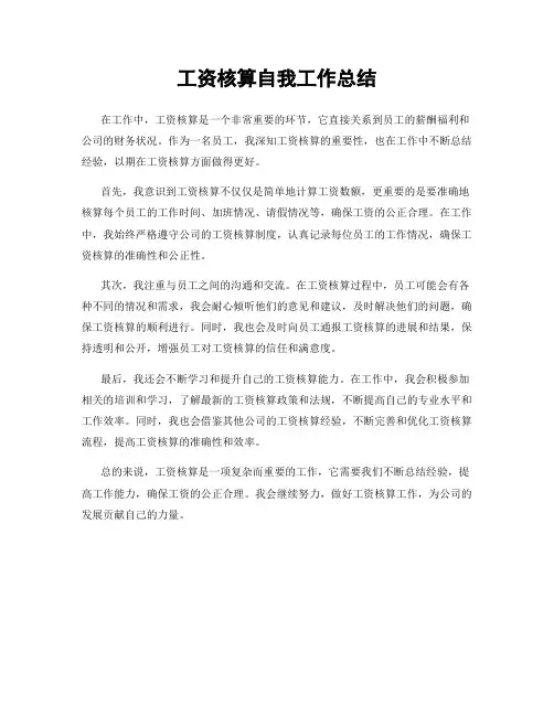 工资核算自我工作总结