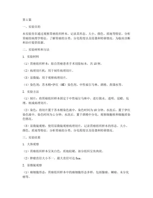 胃癌的病理实验报告(3篇)