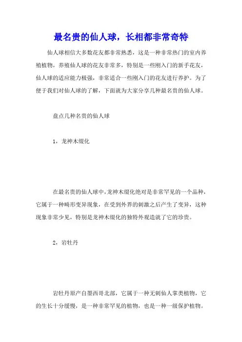 最名贵的仙人球,长相都非常奇特
