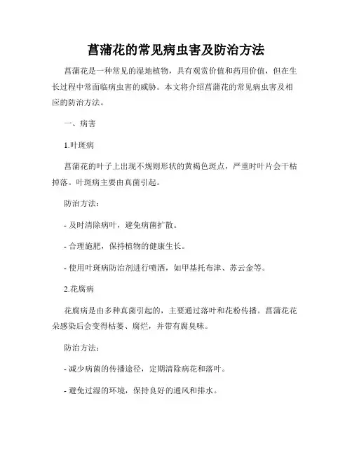 菖蒲花的常见病虫害及防治方法