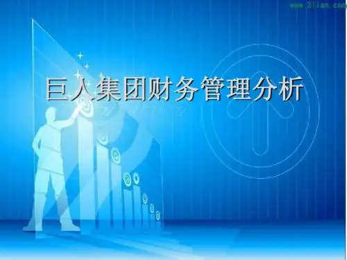 巨人集团财务案例分析
