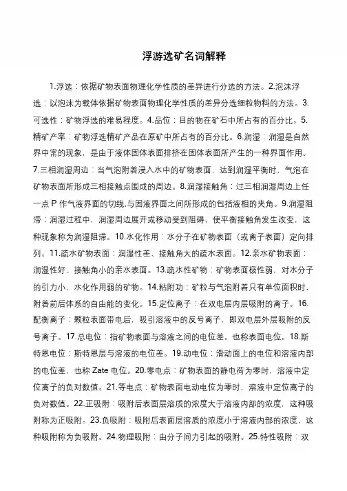 浮游选矿名词解释