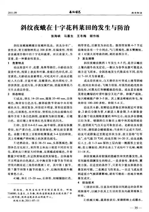 斜纹夜蛾在十字花科菜田的发生与防治