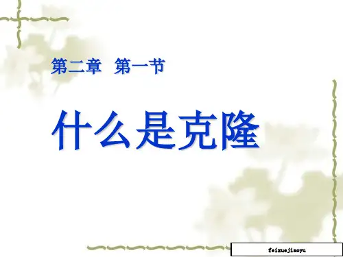 高中生物课件：什么是克隆